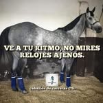 Robert Barcelo Guzman - @barcelorobert - Instagram