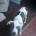 Robert Bare - Facebook