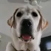 Robert Baribeau255 - @rjbaribeau - TikTok