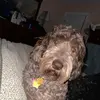 robertbaril59 - @robertbaril59 - TikTok