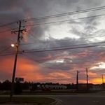 Robert Barlow - @robert.barlow - Instagram