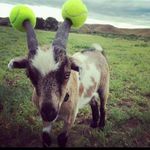 Robert Barlow - @robert.barlow.7165 - Instagram