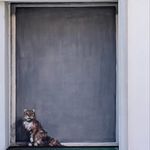 Robert Barnick - @robert_barnick - Instagram
