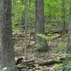 Robert Barrett - @robert.barrett27 - TikTok