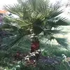 Robert Barrett - @robertbarrett5302 - TikTok