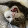 Robert Barry - @barryxc731 - TikTok