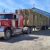 Robert Barry - @robert.barry4 - TikTok