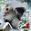 robertbartoszewsk1 - @robertbartoszewsk1 - TikTok