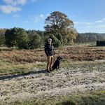 Robert Bartelt - @brlt.rob - Instagram