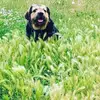 Robert Barth728 - @robertbarth728 - TikTok
