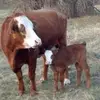 Robert Barth772 - @robertbarth772 - TikTok
