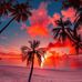 Robert Barth - Facebook