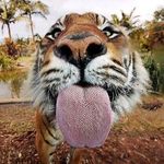 Robert Barth III - @robertbarth11 - Instagram