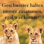 Robert Barth L O K 1488 - @robert.barth - Instagram
