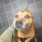 Robert Barton - @robertbarton1851 - Instagram