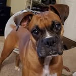 Robert J. Bartunek - @robertbartunek - Instagram