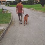 Robert Basalic - @robert_basalic - Instagram