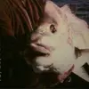Robert Basford495 - @robertbasford3 - TikTok