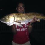 Robert Basilio - @robert.basilio.5283 - Instagram