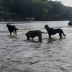 Robert Bates - @robert.bates.9659 - Instagram