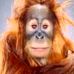 Robert Battas - Facebook