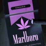 Robert Battaglia - @bobbysbattle420f - Instagram