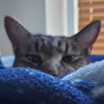 Robert Battle - @robertwbattle - Instagram