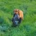 Robert Baty - Facebook