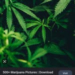 Nathan Robert Bauch - @n8dogg666 - Instagram