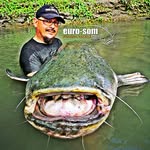 Robert Bauer - @robertbauer3067 - Instagram