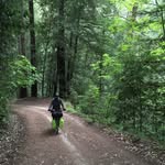 Robert Baur - @stillburningtrees - Instagram