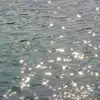 Robert Baus - @robert.baus - TikTok