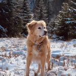 Robert Bausch - @bausch.robert - Instagram