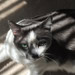Robert Bausch - @asocial_sociologist - Instagram