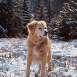 Robert Bausch - @bausch.robert - Instagram