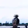 X - @robertbaxter17 - TikTok