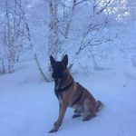 Robert Bayard - @robert.bayard.5 - Instagram