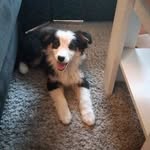 Robert Bazen - @robertbazen - Instagram