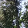 Robert Beach - @robert.beach11 - TikTok