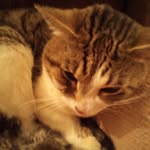 Robert Beal - @robertbeal11 - Instagram