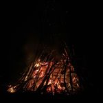 Robert Beals - @robert_beals_42_58 - Instagram