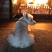 Robert Beals Sr. - Facebook