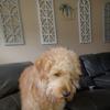 Robert Bean Sr. - @robert.bean.sr - TikTok
