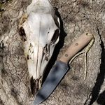 Robert Beard - @coydog66 - Instagram