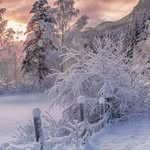 Robert Beard - @robertbeard4379 - Instagram