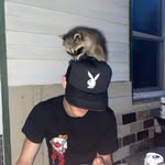 @robert_beardsley2 - Instagram