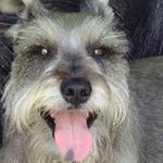 Robert Beatty - @rbeatty - Instagram