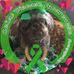 Roberta Beaubien - Facebook