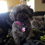 Roberta Beaubien - @robertabeaubien - Instagram