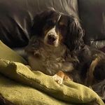 Robert Beebe - @tracey.beebe - Instagram